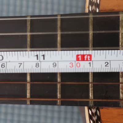 Antique 1890s Unknown Classical Baroque Parlor Guitar Exquisite Inlays Wood Rosewood Mahogany Martin Regal Washburn Possibly Made By Aubry-Maire or Jérôme Thibouville-Lamy (J.T.L.) Mirecourt, France image 24