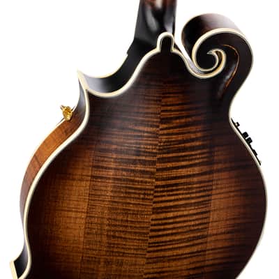 Ortega  RMFE100AVO Mandoline Antique Violin Oil - Ladendemo , optimiert spielfertig eingestellt, image 3