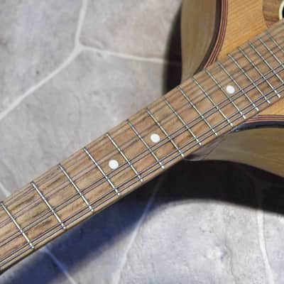 fine vintage solid 8string teardrop MANDOLIN DREIMA Markneukirchen Germany 1950s image 13