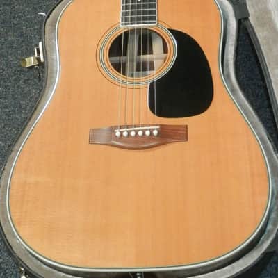 A LoPrinzi LR-20 Dreadnought Acoustic Guitar with case used image 5