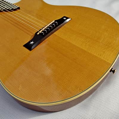 Gibson Chet Atkins SST 1993 image 9