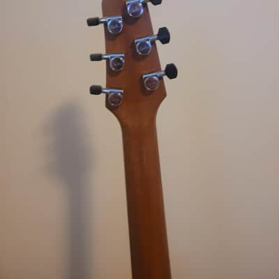 Godin xtSA 2009 - Trans Black image 6