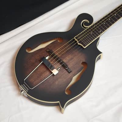 GOLD TONE F-6 F-style 6-string acoustic electric mandolin GUITAR w/ CASE new image 3