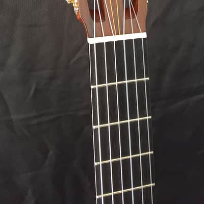 1970 Yamaha GC-7 Brazilian Rosewood Grand Concert Classical Guitar image 17