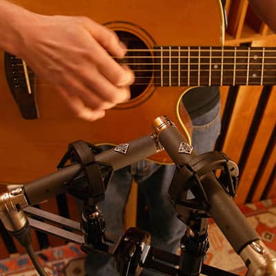 Telefunken Elektroakustik ELA M 260 Stereo Set * Open Box / Demo Deal * image 6