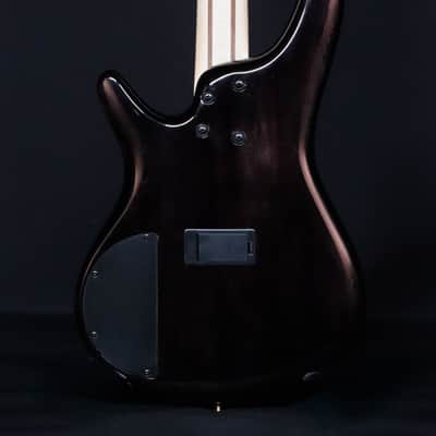 Ibanez SR400EPBDX 4-String Bass, Tropical Seafloor Burst image 3