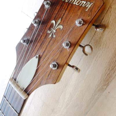 1958 Harmony H62 Espanada Vintage Archtop Electric Guitar w/ Gibson P-13 Pickups 100% Original w/ HC image 4
