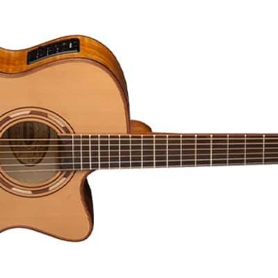 Washburn WCG66SCE Comfort Series Grand Auditorium with Fishman. New with Full Warranty! image 5