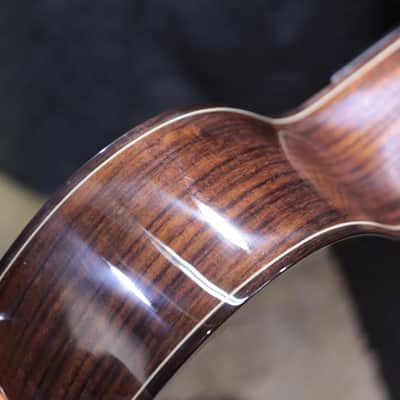 Manuel Rodriguez Superior Series C-S Solid Spruce Top 4/4 Size Classical Guitar image 16