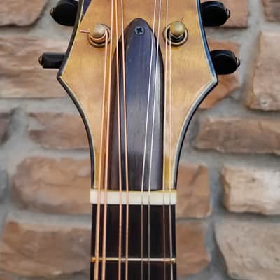 Holst F-4 Hybrid 2023 - Sunburst image 5