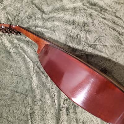 1920's Weymann Mandolute image 15