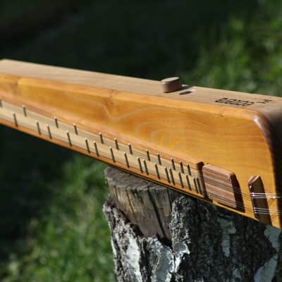 eCitera Electric Zither image 1