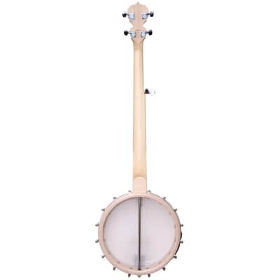 Deering Goodtime Deco 5-String Openback Banjo image 4