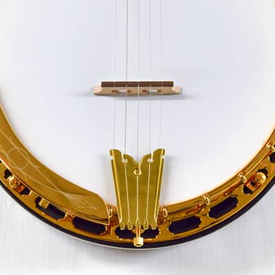 Epiphone Earl Scruggs Golden Deluxe Banjo - Vintage Sunburst image 3