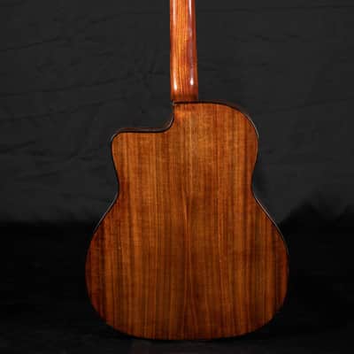 Rino Van Hooijdonk Selmer Replica 2016 image 2