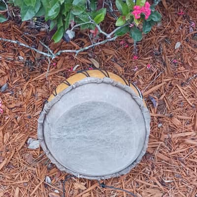 West African-style calabash kettle drum (bara dunun, "gourd drum") image 2