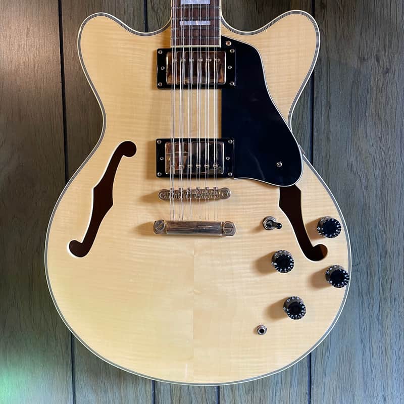 Agile AS820 12 String Semi-hollow Electric Guitar image 1