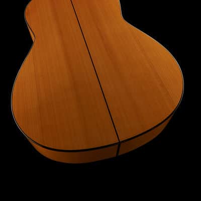 Juan Hernandez Profesor Spruce Flamenca Spanish Flamenco Guitar image 11