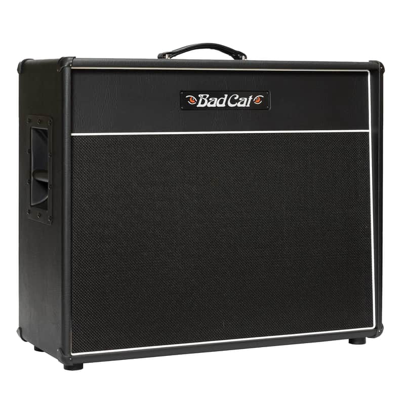 Bad Cat Handwired Cub V 2x12" Extention Cabinet - Open Box image 1