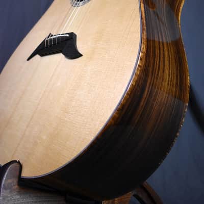 2010 Breedlove Special Edition Focus D image 17