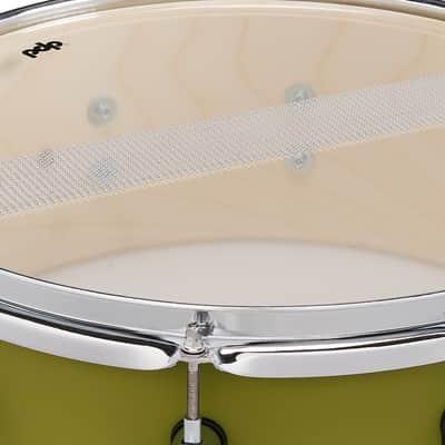 PDP Concept Maple 5.5x14 Satin Olive FinishPly Snare (PDCM5514SSSO) image 6