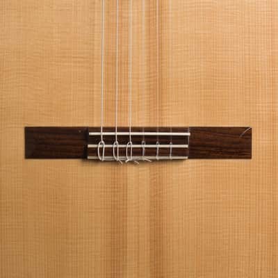 Ross Gutmeier Classical Guitar (2016), black hard shell case. image 17