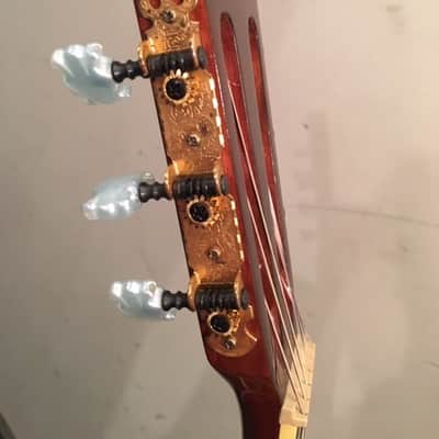 Ibanez AEG10NE image 7