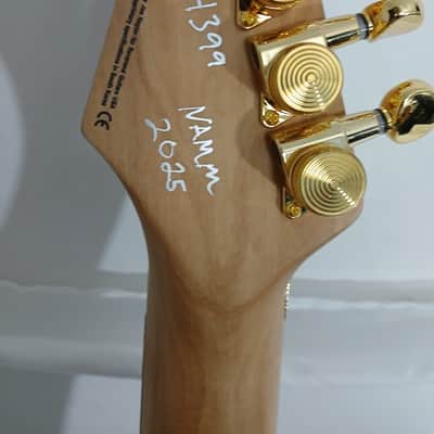 Reverend Kingbolt RA FM Floyd Rose 2024 - Present - Coffee Burst image 8