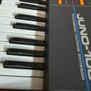 Custom Roland Juno-106 61-Key Programmable Polyphonic Synthesizer 1984 - 1985 - Black