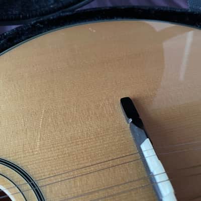 Trinity College Octave Mandolin TM-325 & Case image 12