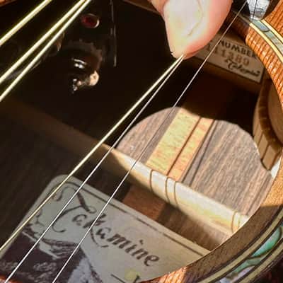2003 Takamine TAN15C, CTP-1 Cool Tube image 7