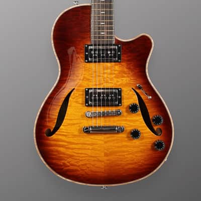 CP Thornton Professional 2022 - Tobacco Burst. Duncan Custom Shop Dynasonic (in Humbucker size) + original Hums. (Authorized Dealer) image 5
