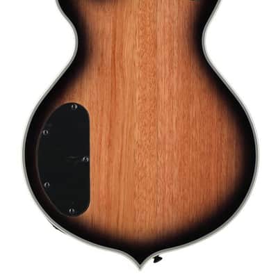 Wylde Audio Odin Grail Electric Guitar Charcoal Burst Buzzsaw image 6