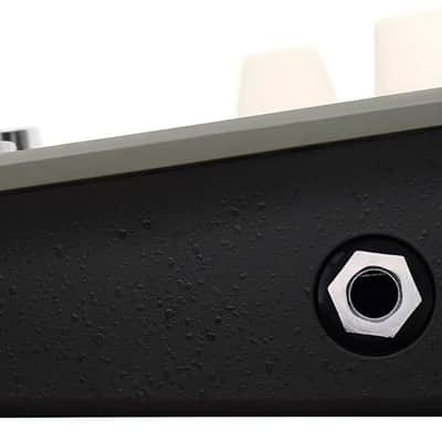 L.R. Baggs Voiceprint DI Acoustic Guitar Impulse Response Effects Pedal image 9