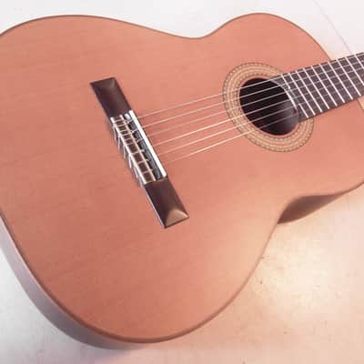 Konzertgitarre Amano 5C-OP - Natur mit Soundport seitlich image 2