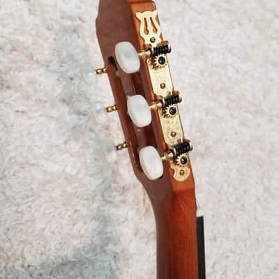 Takamine No.5 in 1994 image 20
