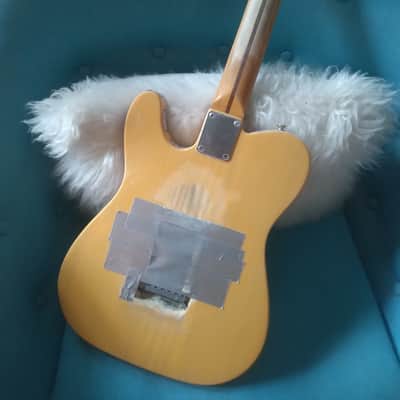 Terry Kath "Chicago" Custom Tribute Telecaster w/HSC image 4