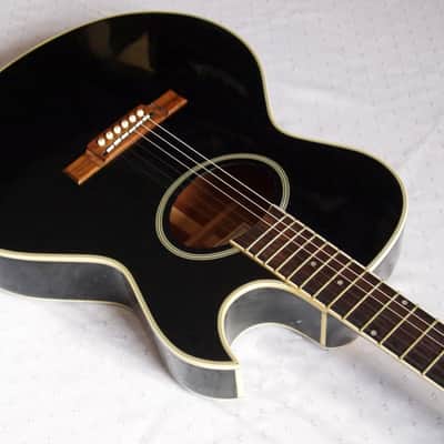 Washburn Festival EA-20 1990 Black | Reverb
