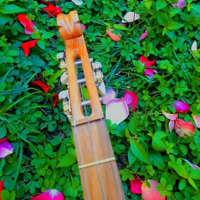 Georgian folk music instrument Panduri | String instrument Panduri | ფანდური | Fanduri image 13