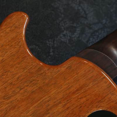 Minty! 2025 PRS Single Cut 594 Wood Library Limited Edition 40th Anniversary Brazillian Electric Guitar Artist Flame + OHSC image 15