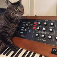 Electrospit ESX-1 Tubeless Talkbox | Reverb