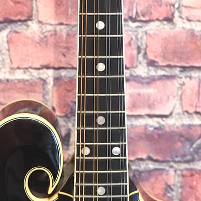 Kentucky Dawg Mandolin image 8