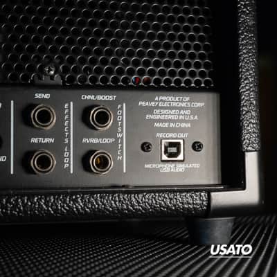 Immagine Peavey Valveking 20 Mh - 8