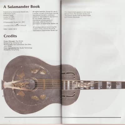 Illustrated Directory of Guitars image 6