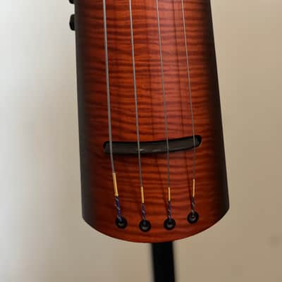 NS Designs NXT4 bass 2000's - passive image 1