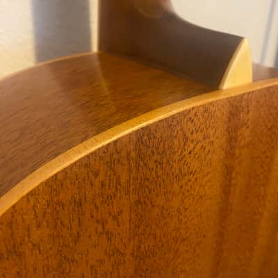 acoustic guitar (no name) image 8