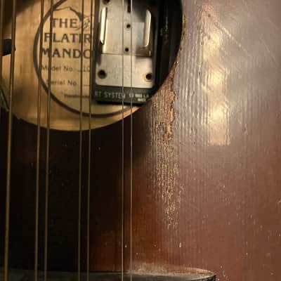 Flatiron Mandola model Mola 1CH 1995 - Chocolate brown, satin lacquer image 12