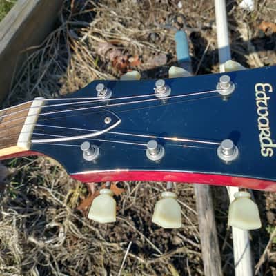 Edwards E-SG early 2000s image 4