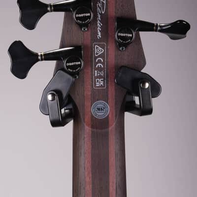 Ibanez Premium SR1325SB 5-string Electric Bass Guitar - Icebreaker Wave Flat image 8