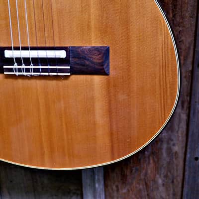Gibson Chet Atkins CE Classical Nylon Guitar w/ Hard Case - 1982 image 3